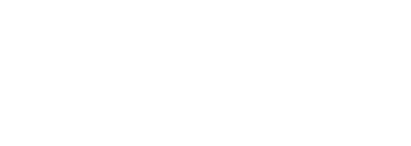 НОРД Логотип
