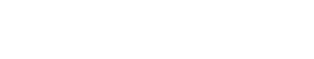 Северная Компания Логотип
